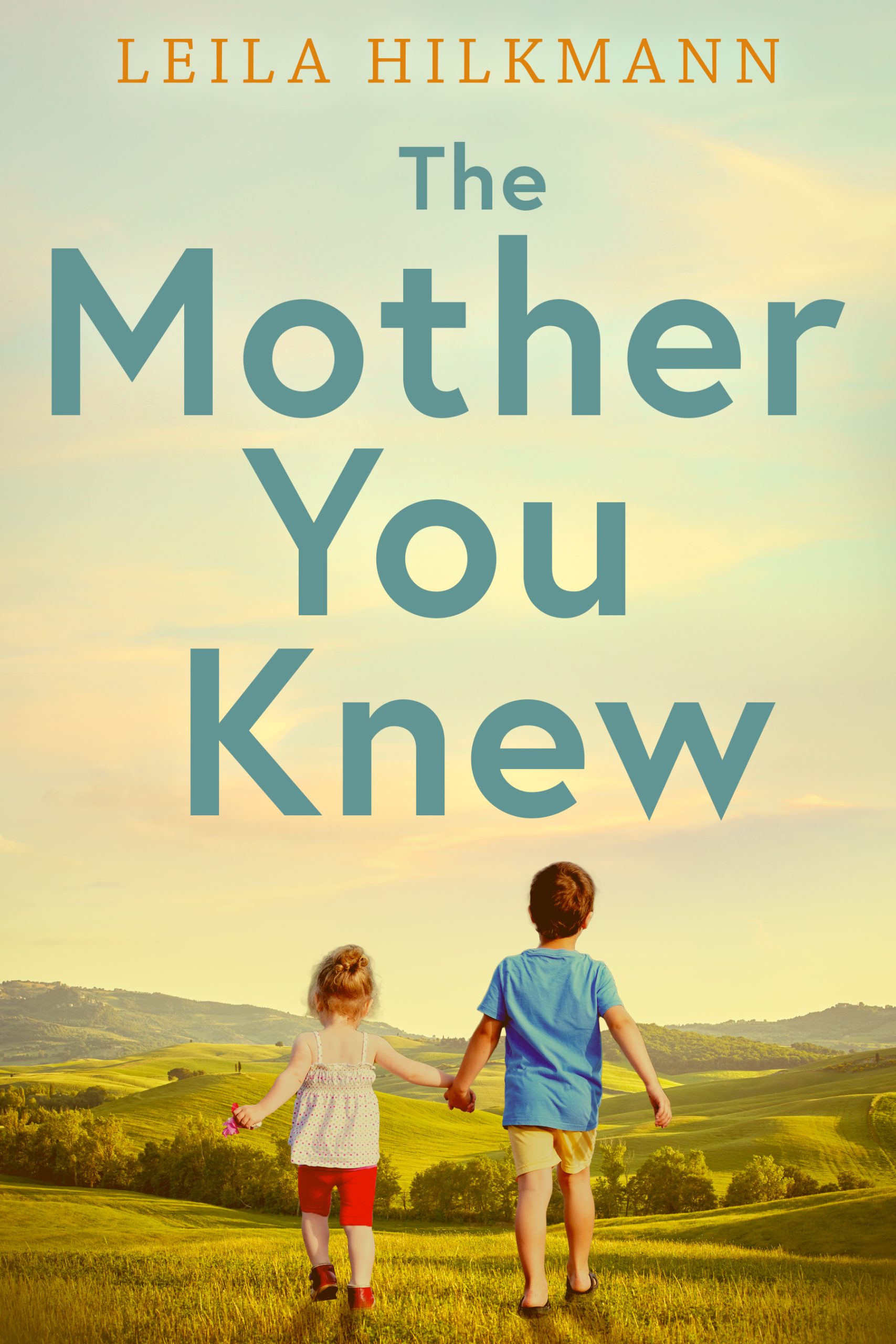 The Mother You Knew book cover